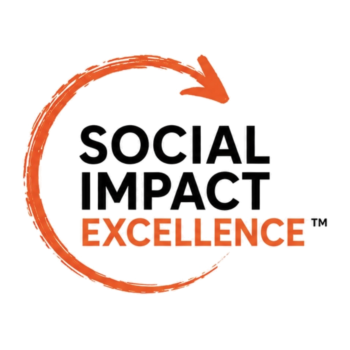 Social Impact Excellence
